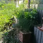 Apartament Kukucs Dezsafuerdo Vendeghaz Etyek