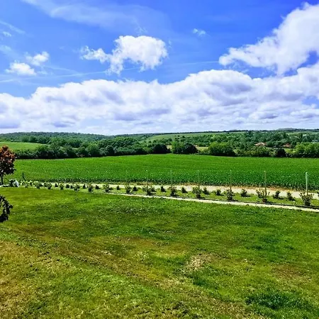 Apartment Kukucs Dezsafuerdo Vendeghaz Etyek