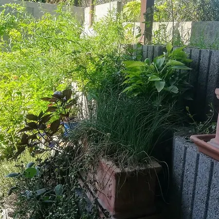 Apartment Kukucs Dezsafuerdo Vendeghaz Etyek