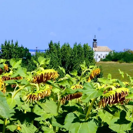 Kukucs Dezsafuerdo Vendeghaz Apartment *