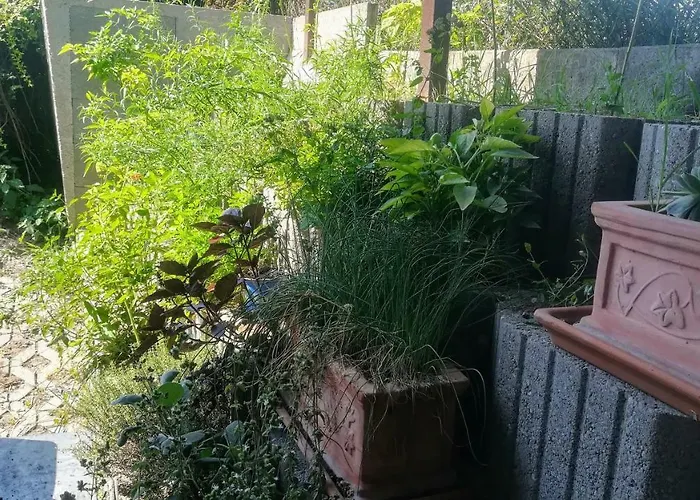 Apartament Kukucs Dezsafuerdo Vendeghaz Etyek